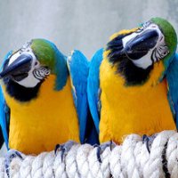 1.9 Season Wrap: Aarthi and John Reflect and&nbsp;Ruminate