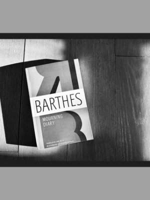 10.2 Beautiful Sentences Matter: Billy-Ray Belcourt and Matt Hooley&nbsp;(SW)