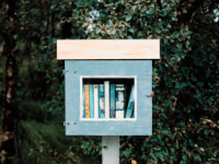 11.1 Indie Presses and the Literary Ecosystem: Meg Reid and Will Evans&nbsp;(MM)