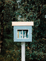 11.1 Indie Presses and the Literary Ecosystem: Meg Reid and Will Evans&nbsp;(MM)